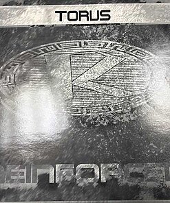 Perspective / Contours - Torus
