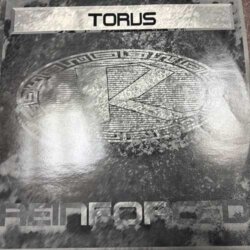 Perspective / Contours - Torus