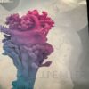Converge - June Miller
