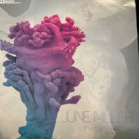 Converge - June Miller