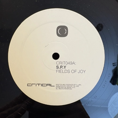Fields Of Joy / Stormtrooper - S.P.Y