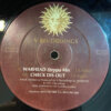 Warhead (Steppa Mix) / Check Dis Out - DJ Krust