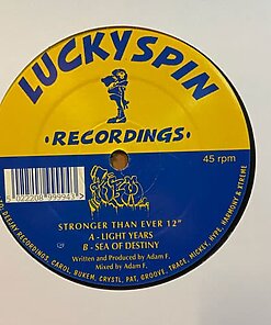 Stronger Than Ever 12" - Adam F