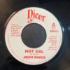 Hot Gal - Archie Wonder (7" Vinyl)