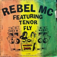 The Wickedest Sound - Rebel MC ft Tenor Fly