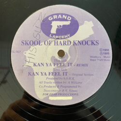 Kan Ya Feel It (Remix) - Skool Of Hard Knocks