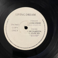 Living Dream - New Class A