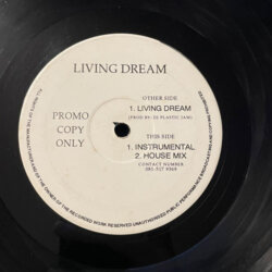 Living Dream - New Class A