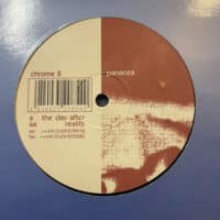 The Day After / Reality - Panacea