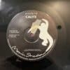 Techtonic / Recall - Calyx