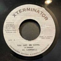 You Got Me Going - Al Campbell