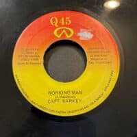 Working Man - Captain Barkey