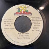 Mr Big Man - Terror Fabulous (7")