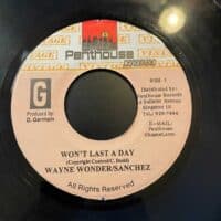 Won't Last A Day - Wayne Wonder - Sanchez