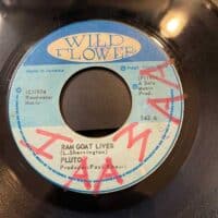 Ram Goat Liver - Pluto