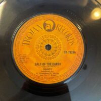 Salt Of The Earth - Dandy