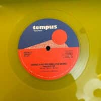 Hiding And Seeking (No More) - Pam Nestor (Yellow Vinyl)