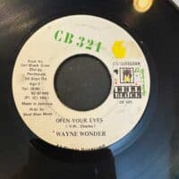 Open Your Eyes - Wayne Wonder