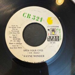 Open Your Eyes - Wayne Wonder
