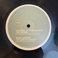 Big Riddim / Decade Of Jungle - Control Z / Sensi Allstars