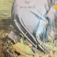 Inside - Terra Deva