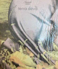 Inside - Terra Deva