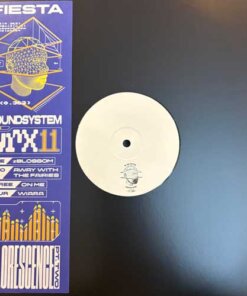 Inflorescence Pt Two - Fiesta Soundsystem