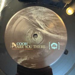 Are You There / Express - Cooh