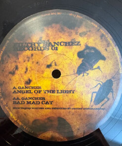 Angel Of The Light / Bad Mad Cat - Gancher