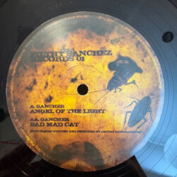 Angel Of The Light / Bad Mad Cat - Gancher