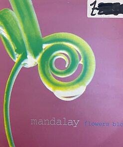 Flowers Bloom - Mandalay