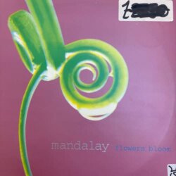Flowers Bloom - Mandalay