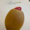 Miracle - Olive