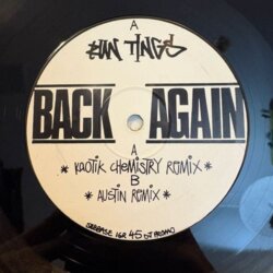 Back Again (Remixes) - Run Tings