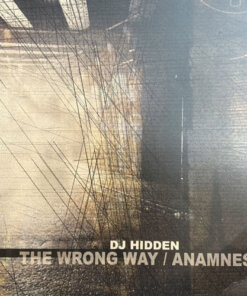 The Wrong Way / Anamnesia - DJ Hidden