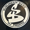 Future Sound (Two Bad Mice Remix) - Phuture Assassins (Promo)
