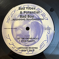 Beginning Transmission - Bad Vibes & Potential Bad Boy (Vinyl 2 Only)