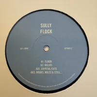 Flock - Sully