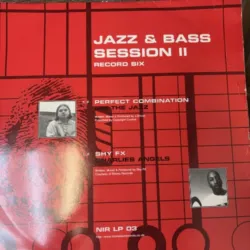 Jazz & Bass Session II - DJ SS (Vinyl 6 Only)