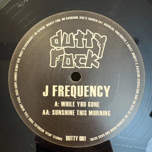 While You Gone / Sunshine This Morning - J Frequency